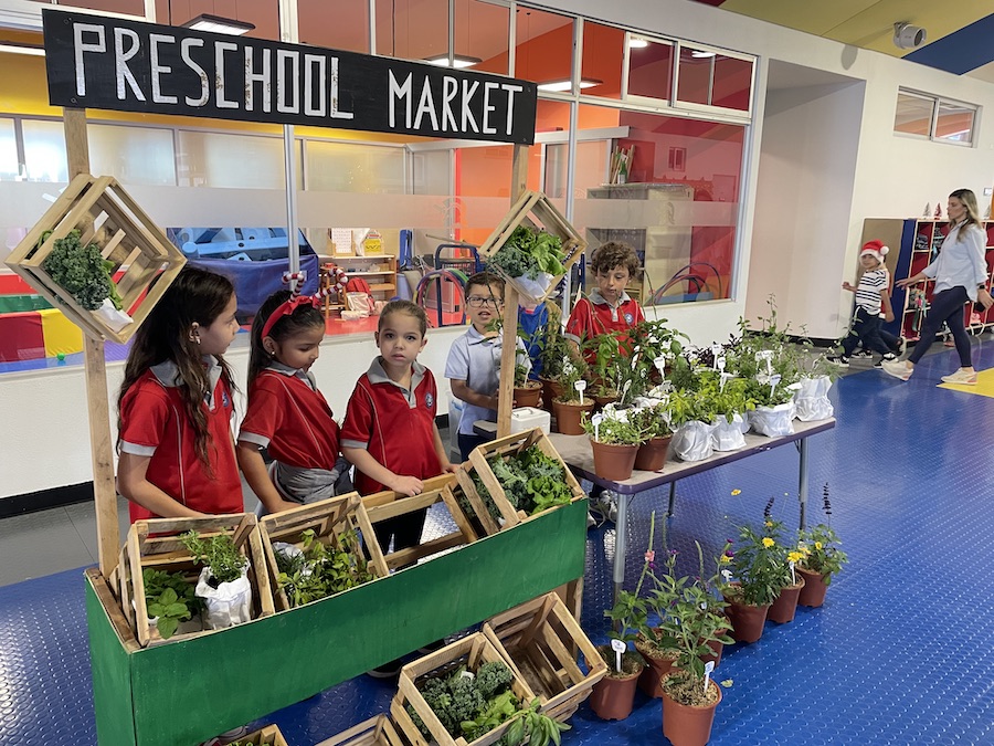 Lincon School - Nosotros