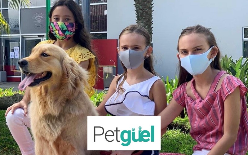 Petgüel: fresh and natural food for your pet, made by Lincoln families